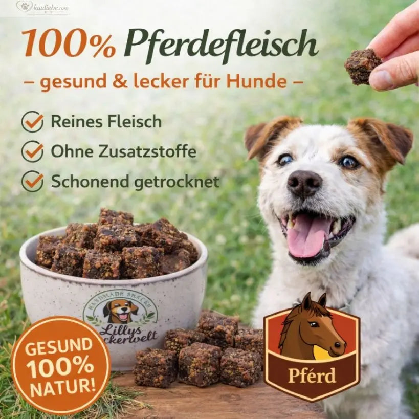 Weiche Hundeleckerli im Pferde-Design, Lillys Leckerwelt Lieblings-Lecker Pferd 200g, detailreiche Hundesnack-Form.