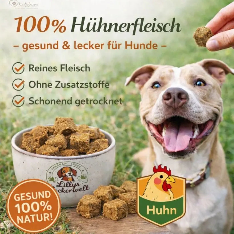 Hundeleckerli von Lillys Leckerwelt, weiche Huhn-Leckerlis, 200g, mit Huhn-Geschmack und soft Textur.