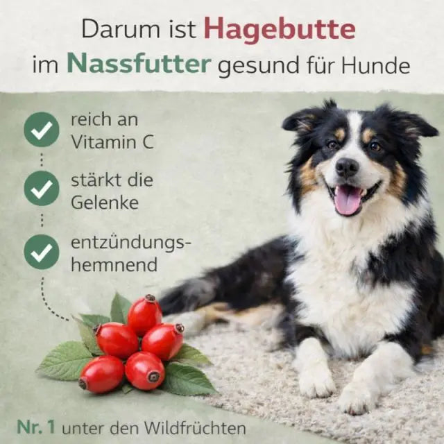 Jagdhaus Menü – Wildschwein, Ente, Kaninchen mit Süßkartoffel, Blaubeere, Hagebutte & Grünlippmuschel (6x800g) NANDOO