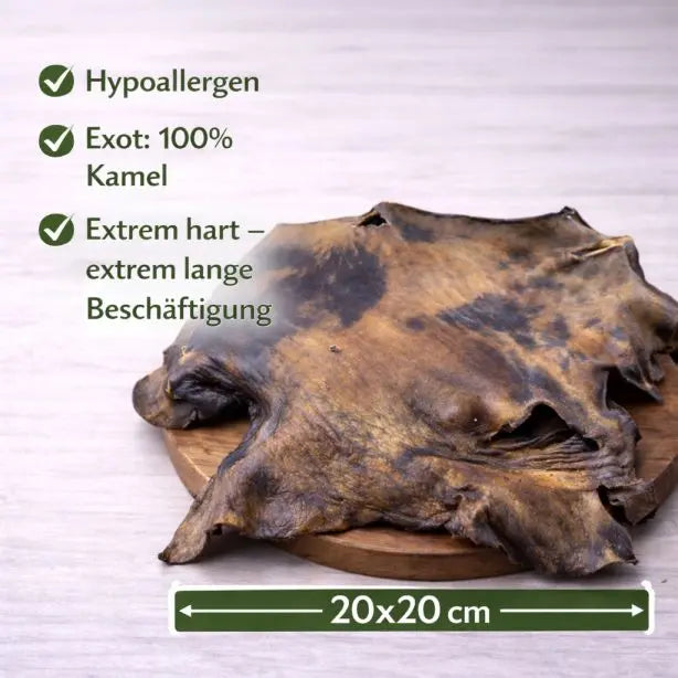 Kamelkopfhautplatte 500g NANDOO