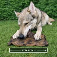 Kamelkopfhautplatte 500g: Ansicht 2