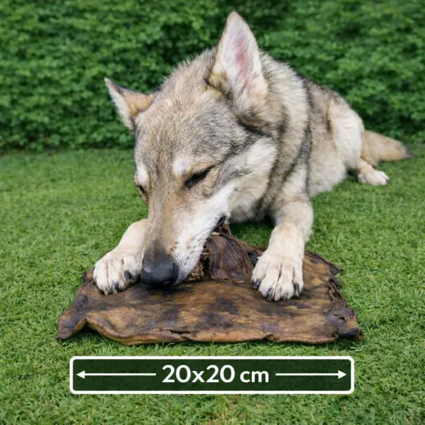 NANDOO Kamelkopfhautplatte 500g, getrocknete Kamelhaut als Hundeleckerli, naturbelassen und knusprig.