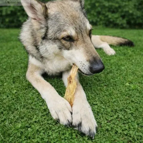 Natürliches Kaninchenohren für Hunde, 250g, von NANDOO, getrocknete Hundesnacks, sichtbare Kaninchenohren in Packung