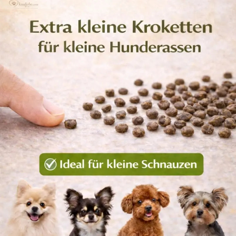 Lachs, Forelle & Süßkartoffel (Kleine Rassen) NANDOO