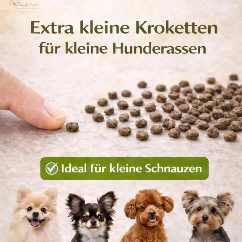 NANDOO Trockenfutter für kleine Huhn- und Süßkartoffelrassen, nährstoffreich und speziell für kleine Geflügelrassen.