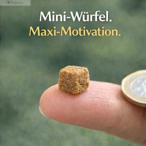 Knusper-Lecker Lamm Mini-Würfel von NANDOO, 250g, knusprige Leckerlis in 1cm Größe für Hunde.