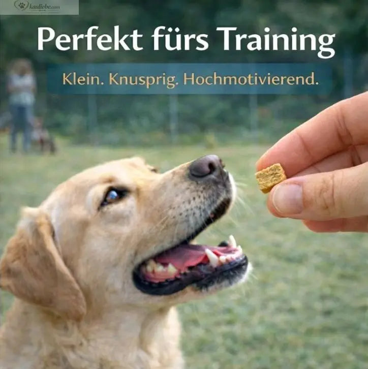 Knusper-Lecker Huhn 250g (1cm) NANDOO