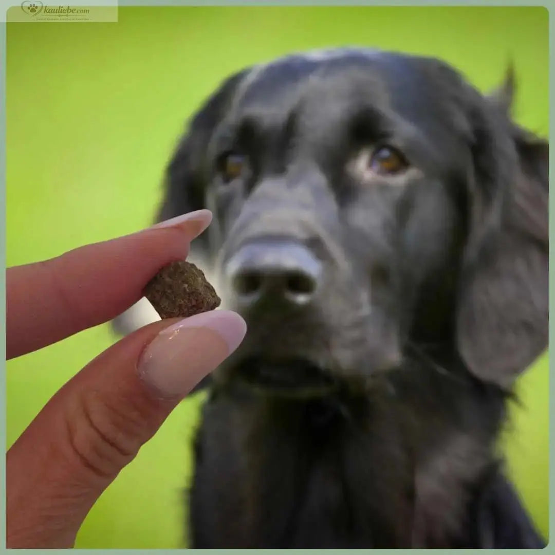 Knusper-Lecker Dorsch 250g (1cm) NANDOO