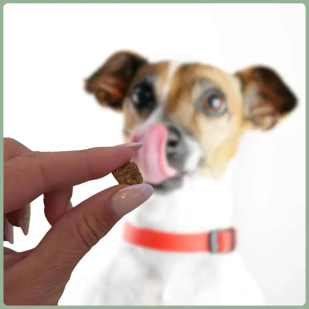 Knusper-Lecker Ente 250g (1cm) NANDOO