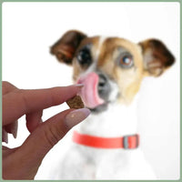 Knusper-Lecker Ente 250g (1cm): Ansicht 6