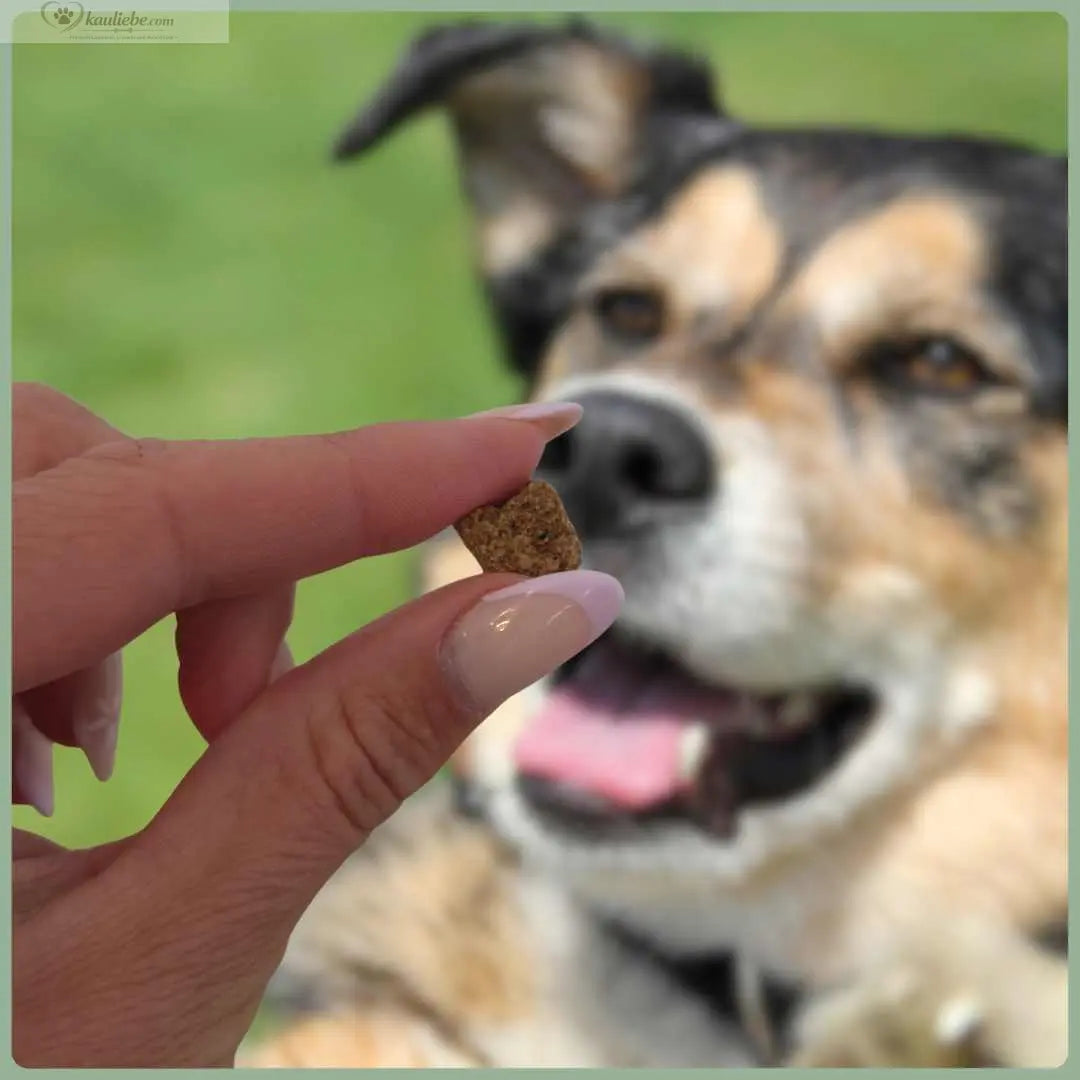 Knusper-Lecker Huhn 250g (1cm) NANDOO