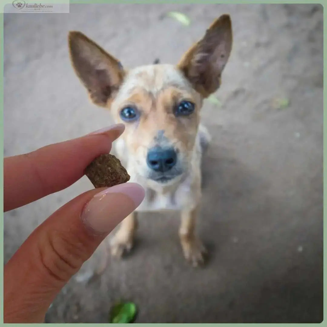 Knusper-Lecker Kaninchen 250g (1cm) NANDOO