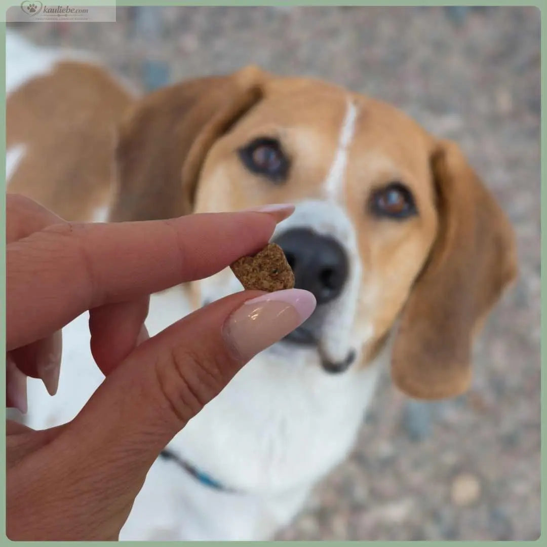 Knusper-Lecker Pferd von NANDOO, 200g, detailreiche Nahaufnahme eines knusprigen Pferde-Snacks auf Verpackung
