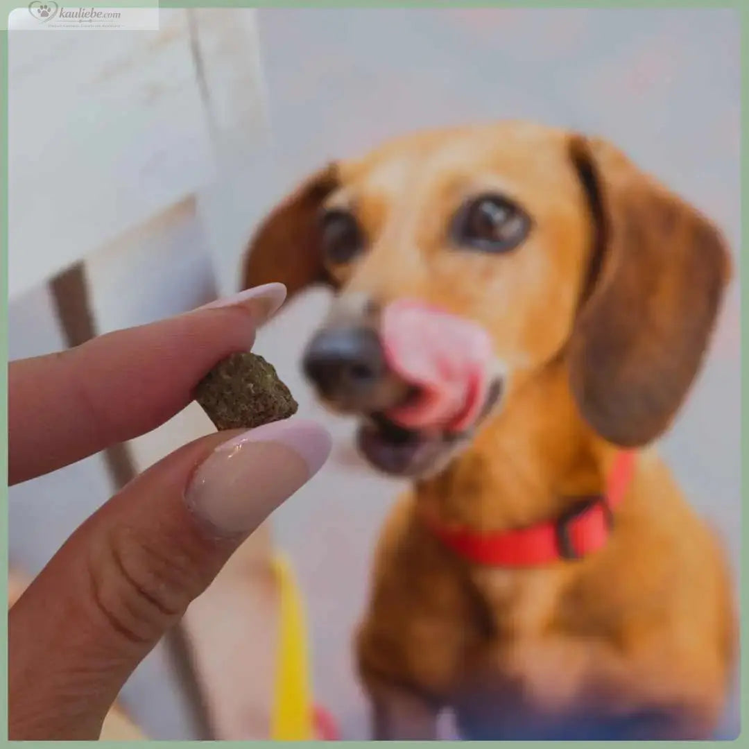 Knusper-Lecker Pute 250g (1cm) NANDOO