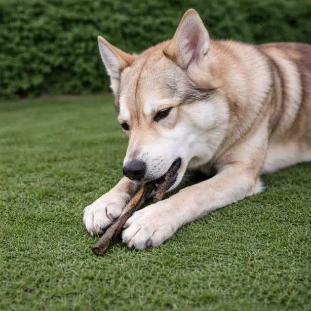 Lachshaut - Stangen 250g NANDOO