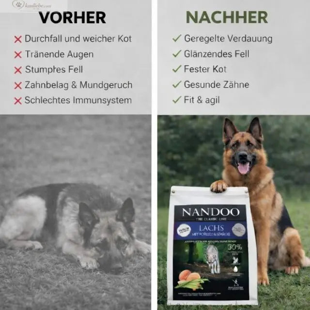 NANDOO Lachs, Forelle und Süßkartoffel, frisches Fisch- und Fischfiletgericht auf einem Teller mit Gemüse und Beilagen.