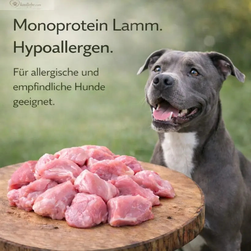 Trainingswurst Lamm 100g