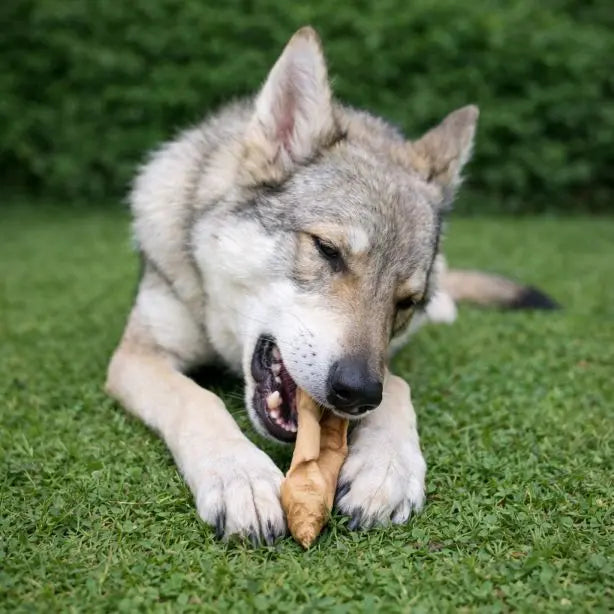 Lammkopfhaut 250g NANDOO