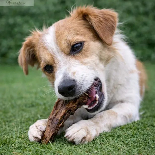 Lammlunge - große Stücke 250g NANDOO