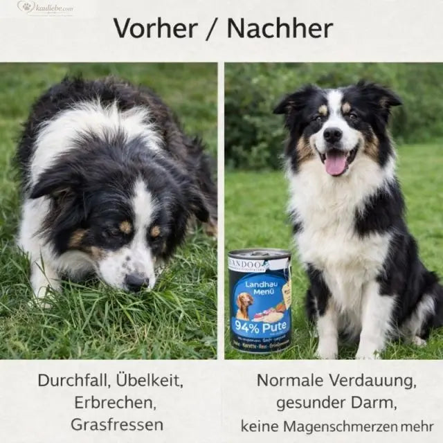 Landhaus Menü – Pute mit Reis, Karotte & Grünlippmuschel 800 g NANDOO