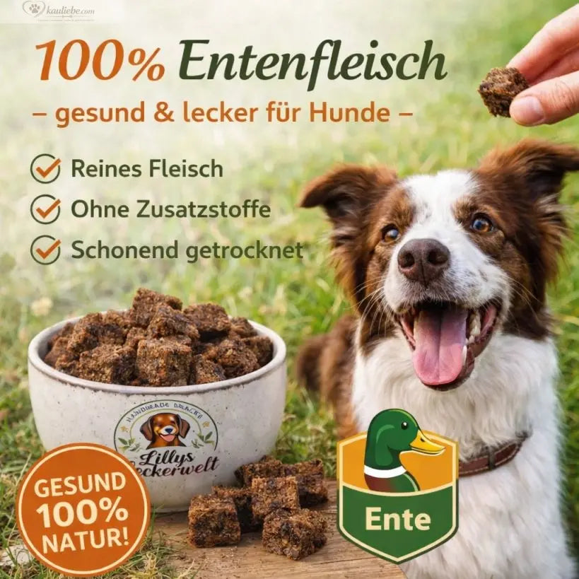 Lillys Leckerwelt Lieblings-Lecker Ente, weiches Hundespielzeug aus 200g Material, detailreiche Ente-Form, ca. 1,5 cm groß
