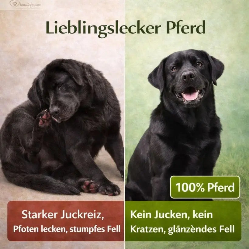 Lillys Leckerwelt Lieblings-Lecker Pferd, 200g, weiche Hundeleckerli in Pferdeform, perfekt für Hunde, auf weißem Hintergrund.
