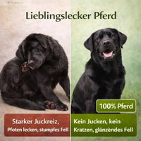 Lieblings-Lecker Pferd 200g (1,5cm): Ansicht 7