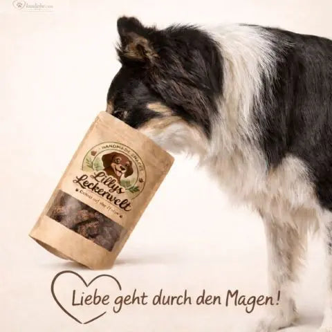 Lillys Leckerwelt Lieblings-Lecker Pferd 200g, kleine 1,5cm Leckerli mit Pferdemotiv auf weißem Hintergrund