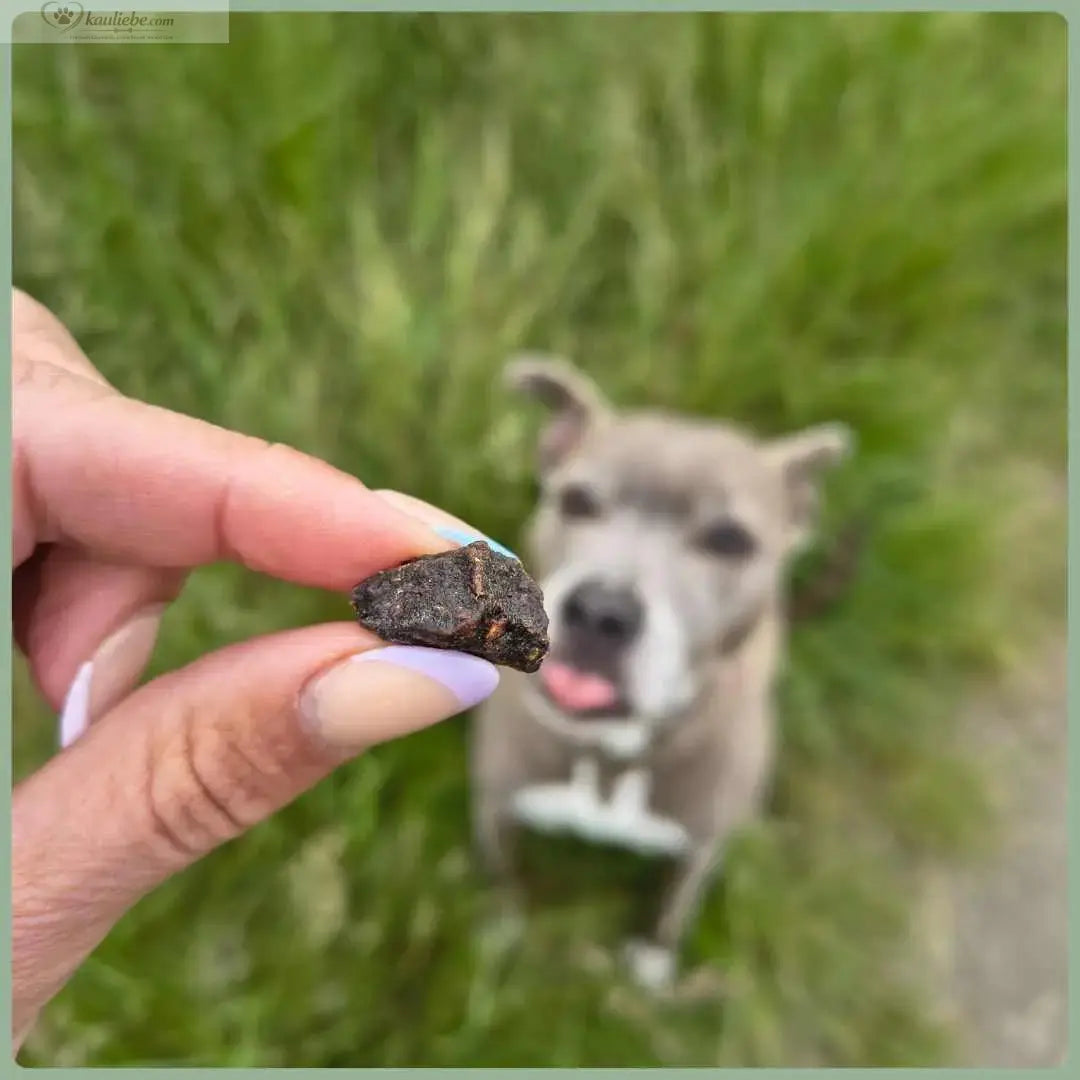 Lillys Leckerwelt Lieblings-Lecker Hirsch, 200g, mit 1,5cm großen Fleischstücken, saftig und hochwertig für Hunde.
