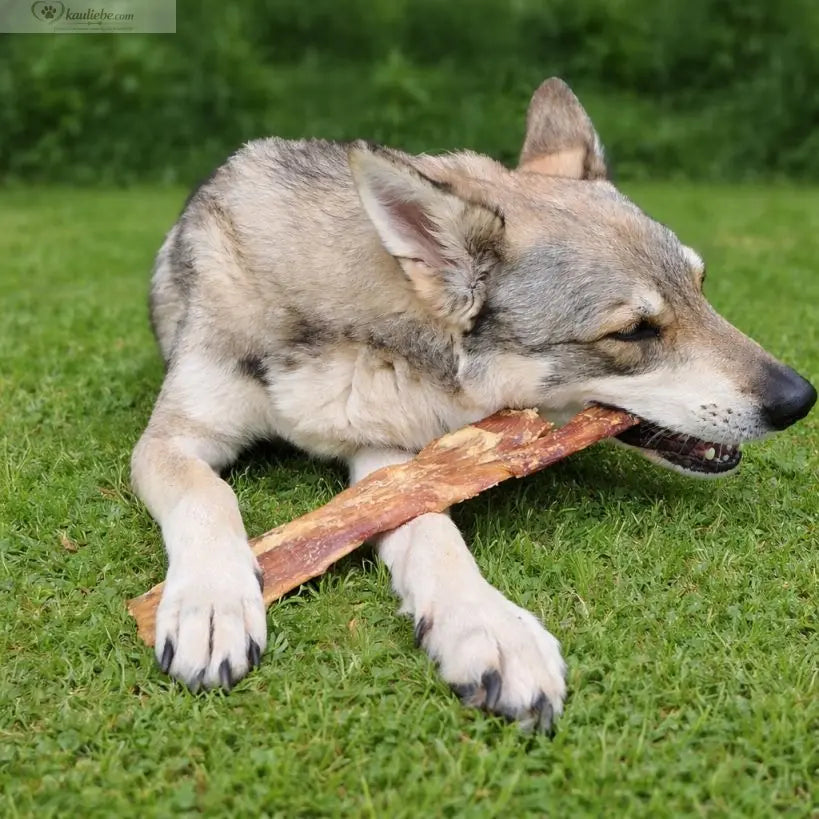 Rindernackensehne lang 30cm 500g NANDOO