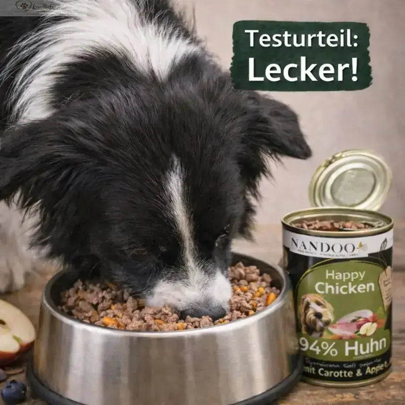 Nassfutter für Hunde, Happy Chicken mit Huhn, Karotte und Apfel von NANDOO, 6x400g, in Futterschale.