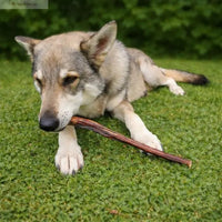 Ochsenziemer (26cm) 1 Stück: Ansicht 2