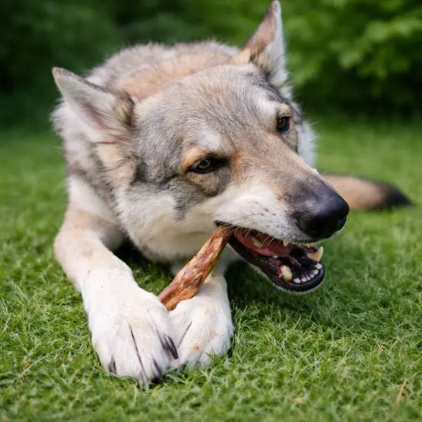 NANDOO Pferdedärme, 250g, natürliche Hundesnack, saftige Pferdedärme für Hunde, in der Verpackung sichtbar