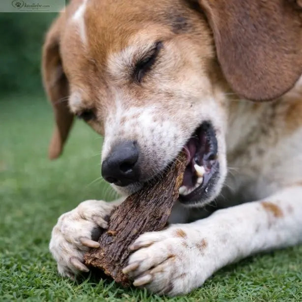 Pferdedörrfleisch 250g NANDOO