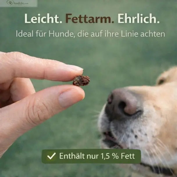 NANDOO Mini-Würfel Pferdelunge, fettarm, 250g, kleine 1cm Stücke auf weißem Hintergrund