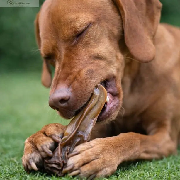 NANDOO Pferdeohren ohne Fell, 250g, natürliches Hundesnackprodukt mit getrockneten Pferdeohren, in der Verpackung.