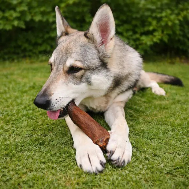 Pferdeohren mit Fell 1 Stück NANDOO