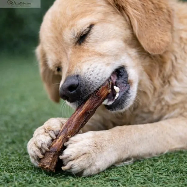 Pferdesehnen 250g NANDOO