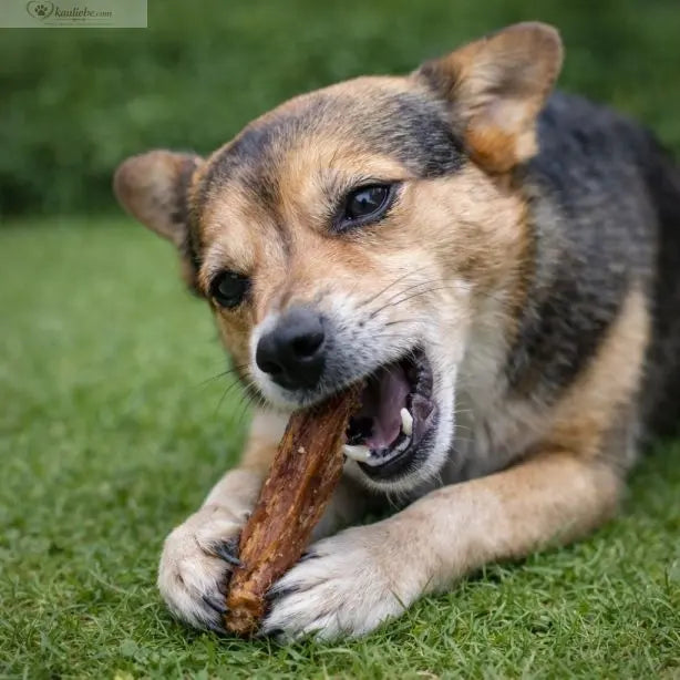 Putenflügel 250g NANDOO