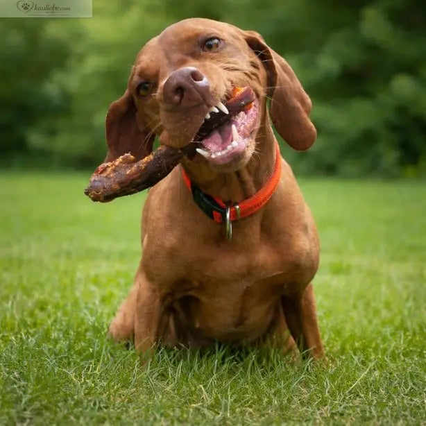 Zwei Putenhälse von NANDOO für Hunde, natürliche Hundesnacks, saftig und proteinreich, auf weißem Hintergrund.