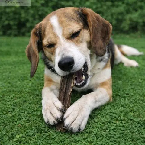 Rehhaut Natur 250g NANDOO