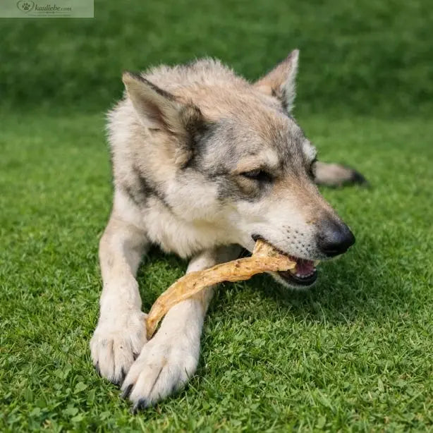 Getrocknete Rinderachillessehne für Hunde, 250g, von NANDOO, zeigt die getrocknete Rindersehne als Hundesnack.