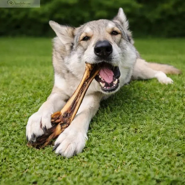 Rinderkopfhaut Stangen 25-30cm NANDOO