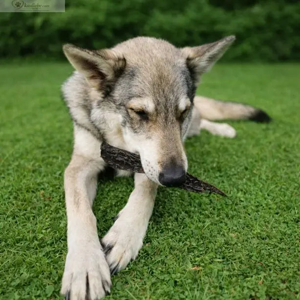 Rinderleber 250g NANDOO