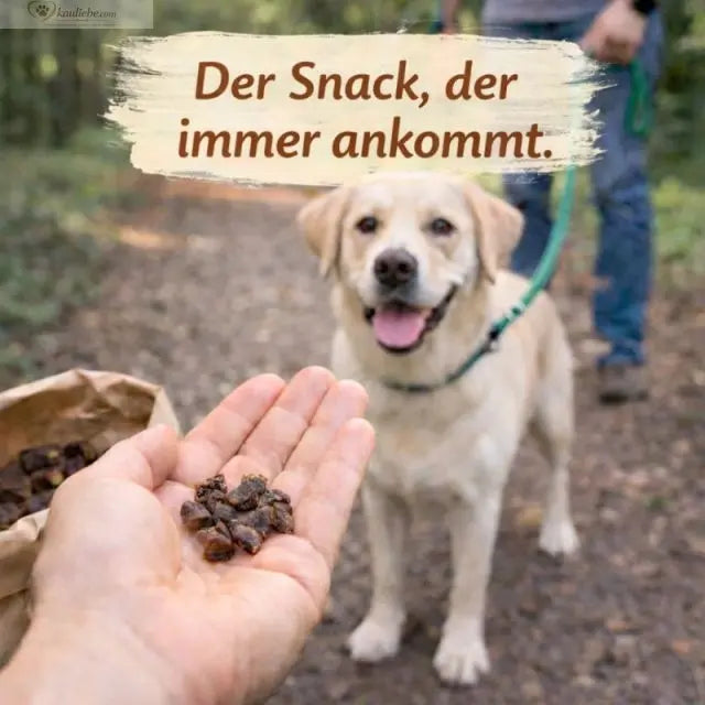Mini-Würfel Rinderlunge von NANDOO, 250g, 1cm große Fleischwürfel für Hundetraining, sichtbar auf dem Bild.