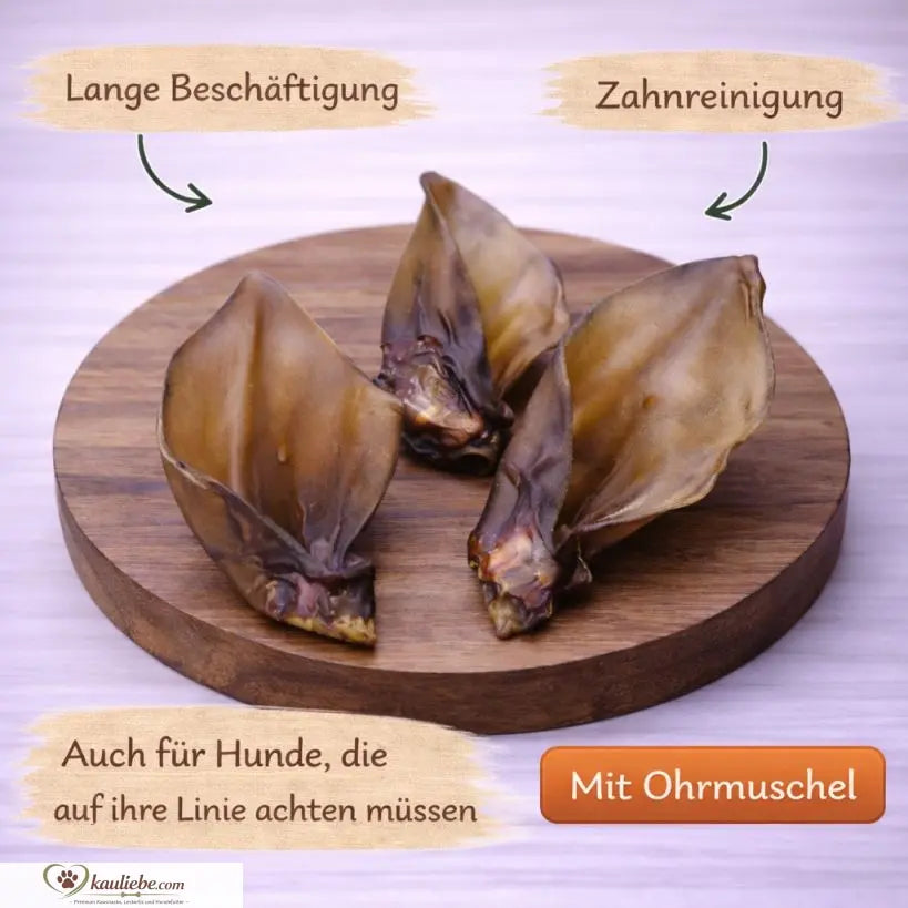 Natürliches Rinderohr mit Muschel von NANDOO, detailreiche Nahaufnahme, zeigt Textur und natürliche Materialien.