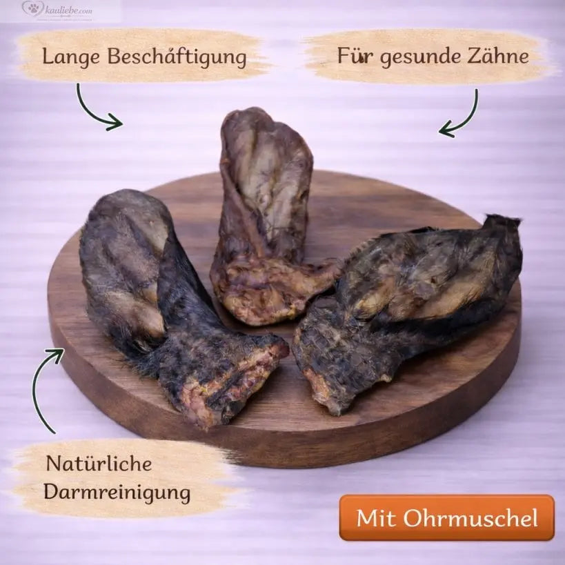 Getrocknetes Rinderohr mit Fell von NANDOO, detailreiche Nahaufnahme eines Rinderohres mit Fell.