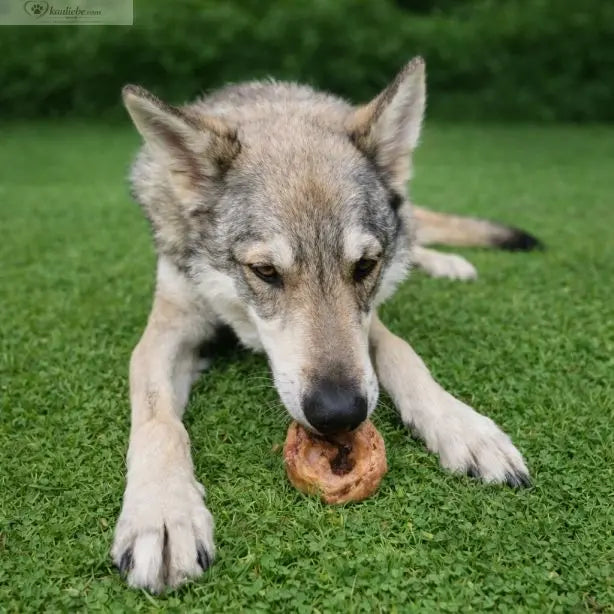 Rinderohrmuschel vom Rind, 250g, von NANDOO, naturbelassenes Hundezubehör, sichtbare Ohrmuschel in der Verpackung