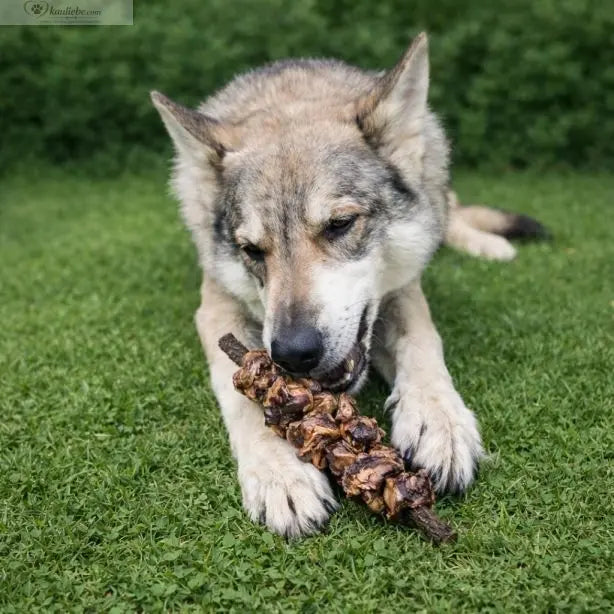 Schaschlik Spieß 1 Stück NANDOO