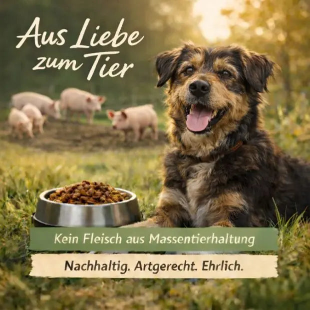 Schwein und frisches Gemüse auf einem Teller, NANDOO nachhaltiges Fleisch- und Gemüseprodukt, naturbelassene Mahlzeit